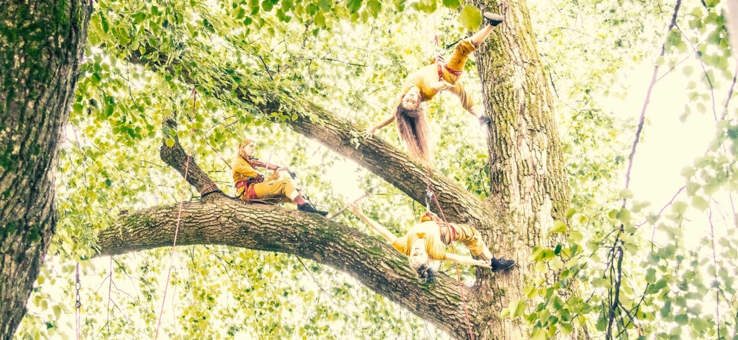 Aeldre Foto: Love Aamås Kjellsson